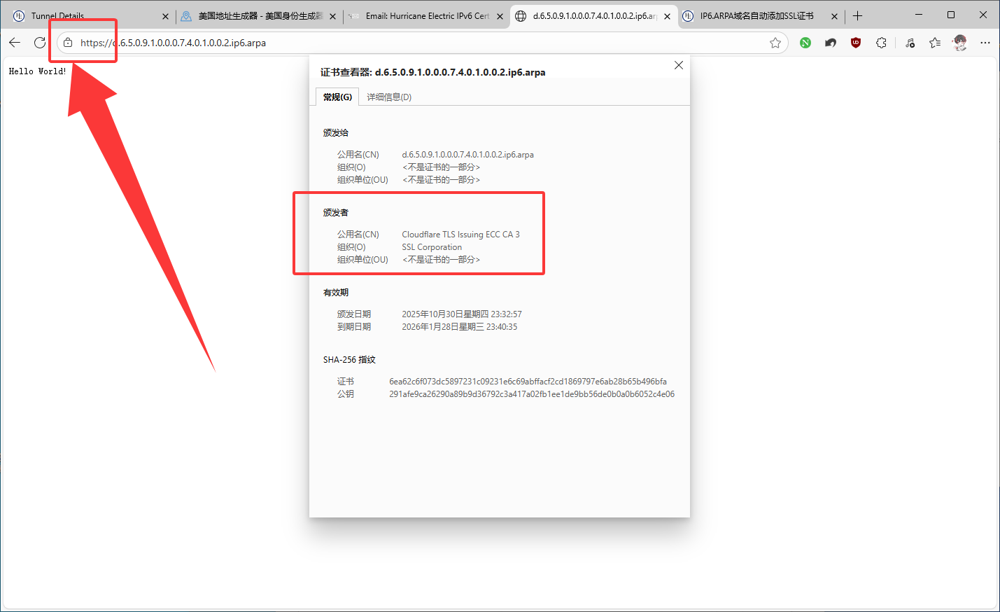 image-20251030234909094